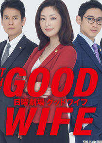The Good Wife The Good Wife