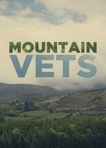 Mountain Vets Mountain Vets