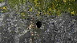 The Cave to Hell The Cave to Hell