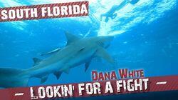 South Florida South Florida
