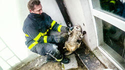 Aflevering 3 Aflevering 3