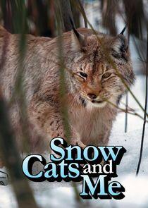 Snow Cats and Me Snow Cats and Me