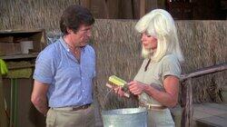 The Love Doctor / The Pleasure Palace / Possessed The Love Doctor / The Pleasure Palace / Possessed