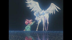 Meeting of Destiny: The Night Pegasus Dances Meeting of Destiny: The Night Pegasus Dances