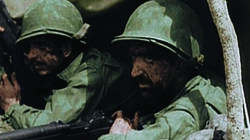 The Island War