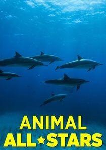 Animal All-Stars Animal All-Stars