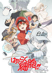 Cells at Work! Cells at Work!