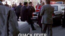 Quack Fever Quack Fever