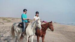 Horsing Around on South Padre Island Horsing Around on South Padre Island