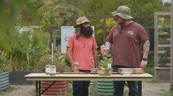 Episode 6 - Perennial Border, Botanical Art, Jewish & Maple Episode 6 - Perennial Border, Botanical Art, Jewish & Maple