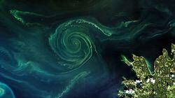 Colourful Planet Colourful Planet