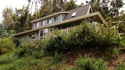 Hula Dancer Wants Family Home in Upcountry Maui Hula Dancer Wants Family Home in Upcountry Maui