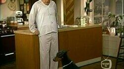 No Patsy, This Kelly No Patsy, This Kelly