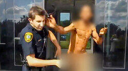 Tased and Confused Tased and Confused