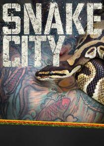Snake City Snake City