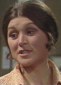 WDC Forest WDC Forest