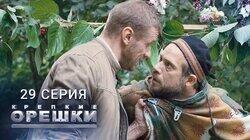 Сумерки
