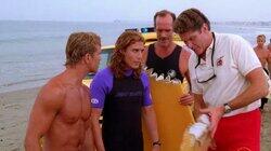 Shark Fever Shark Fever