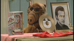 Suspicious Minds Suspicious Minds