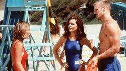 Sharks, Lies & Videotape Sharks, Lies & Videotape
