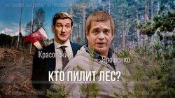 Вырубка, лесные пожары и чёрные лесорубы. Мнение Greenpeace России Вырубка, лесные пожары и чёрные лесорубы. Мнение Greenpeace России