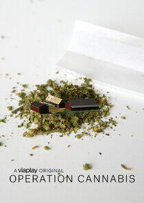 Operation Cannabis Operation Cannabis