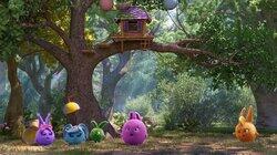 Tree House Tree House
