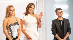 The Housewives The Housewives