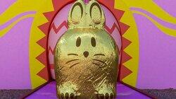 Bunny Fools Day Bunny Fools Day
