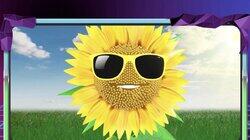 Calling All Funflowers! Calling All Funflowers!