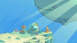 You've Got Whale