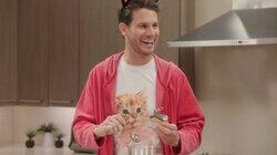 Cat Food Reviewer Cat Food Reviewer