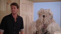 Tosh.Oh That's What They're Up to Now, Pt. 5 Tosh.Oh That's What They're Up to Now, Pt. 5
