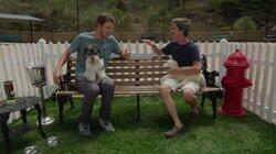 Dog Trainer Dog Trainer