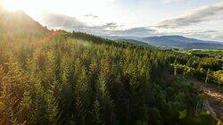 Highlands Rewilding Highlands Rewilding