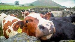 Cumbria Cumbria