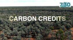 Carbon Credits Carbon Credits