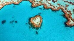 The Great Barrier Reef The Great Barrier Reef