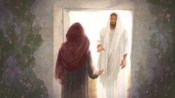 Matthew 28; Mark 16; Luke 24; John 20-21 Matthew 28; Mark 16; Luke 24; John 20-21