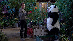The Grief Panda The Grief Panda