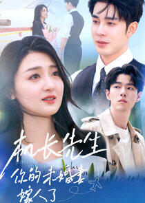 Ji Zhang Xian Sheng, Ni De Wei Hun Qi Jia Ren Le