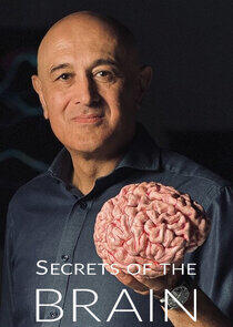 Secrets of the Brain Secrets of the Brain