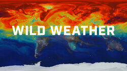 Wild Weather Wild Weather