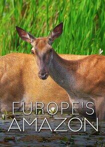 Europe's Amazon Europe's Amazon