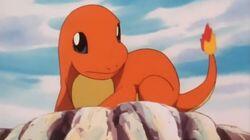 Charmander - The Stray Pokémon Charmander - The Stray Pokémon