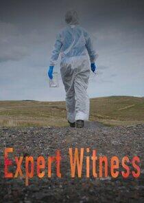 Expert Witness Expert Witness