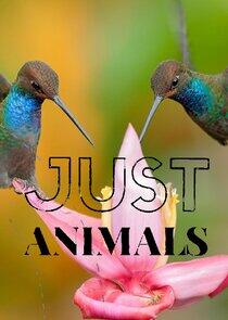 Just Animals Just Animals