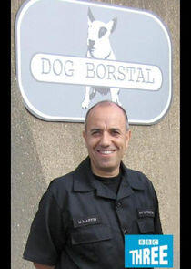 Dog Borstal Dog Borstal