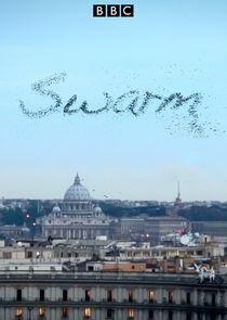Swarm: Nature's Incredible Invasions Swarm: Nature's Incredible Invasions