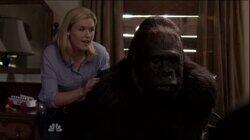 Gorilla My Dreams Gorilla My Dreams